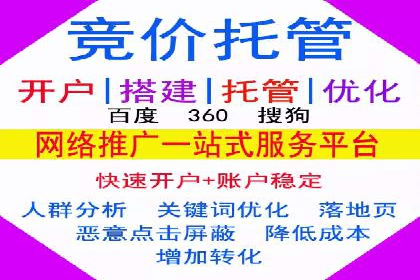SEM搜索引擎优化策略解析与应用案例